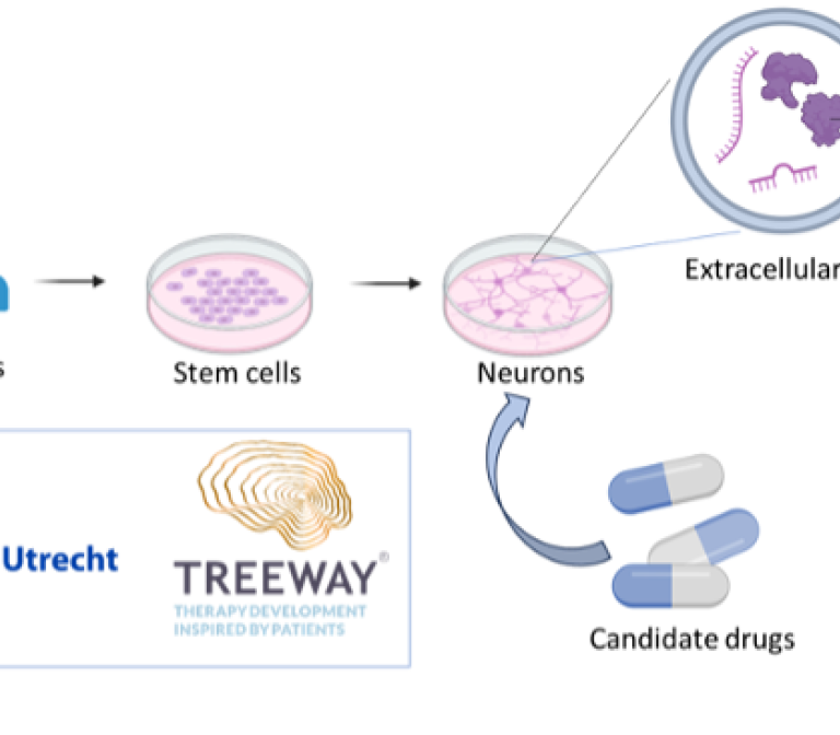 Message in a package: characterizing amyotrophic lateral sclerosis through extracellular vesicles