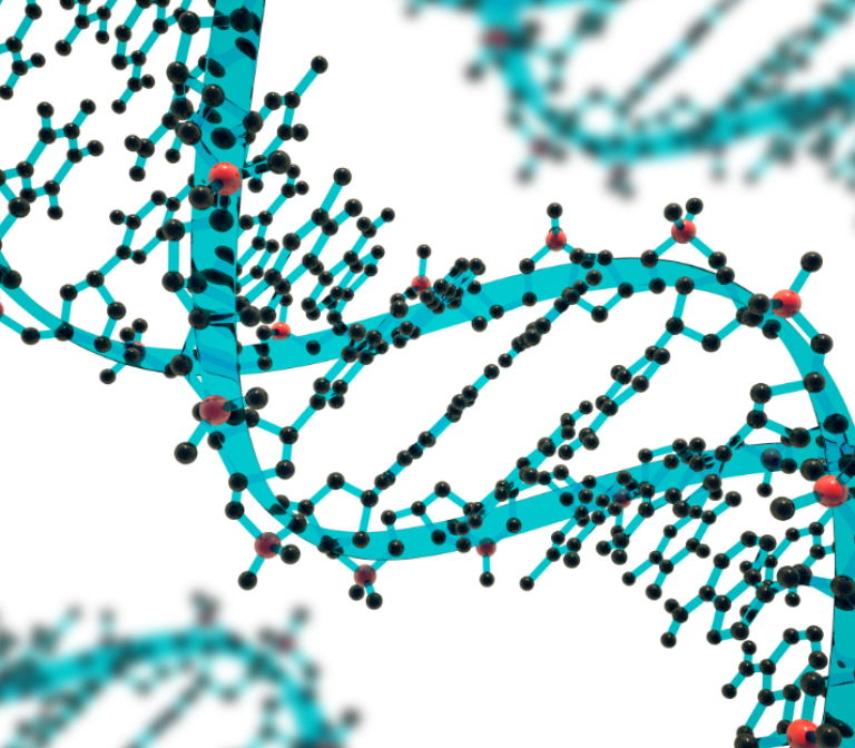 Messenger RNA to validate gene therapy for rare diseases