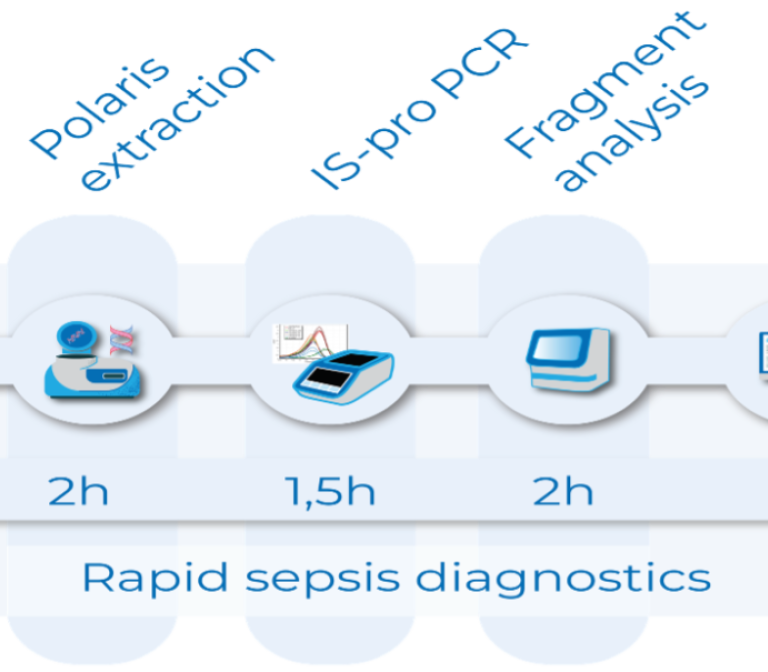 Rapid diagnosis of sepsis